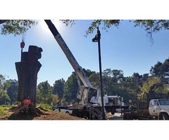 Tree Pruning Geelong