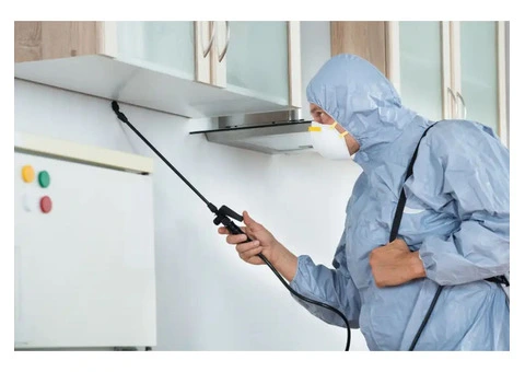 Pest Control Oxenford