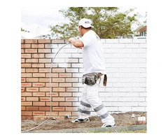 Tree Lopping Sydney North Shore