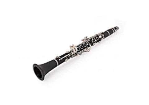 Professional Clarinet Lessons for All Levels in Bentleigh East