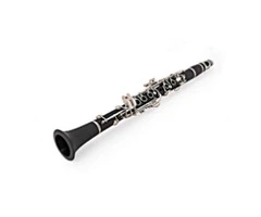 Professional Clarinet Lessons for All Levels in Bentleigh East