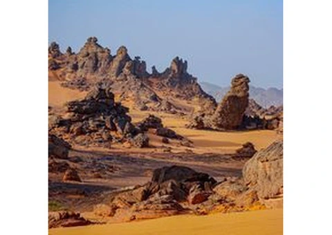 Experience an Amazing Honeymoon with an African Safari