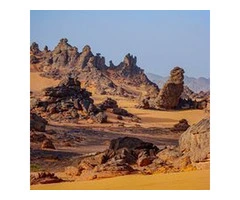 Experience an Amazing Honeymoon with an African Safari