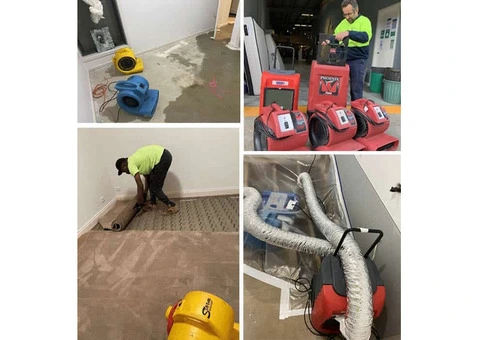 Expert Water Damage Restoration Services in Melbourne