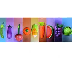 Catch a Child's Dream with Eleganter's Montessori Pretend Play Toys!