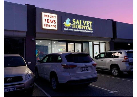 Your Pet's Best Friend: SAI Veterinary Clinic Perth