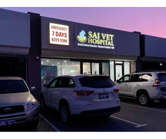 Your Pet's Best Friend: SAI Veterinary Clinic Perth