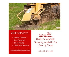Best Arborists Tree Care Service in Adelaide