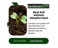 Soil Advisor in Hampton East - Expert Guidance For Soil Management