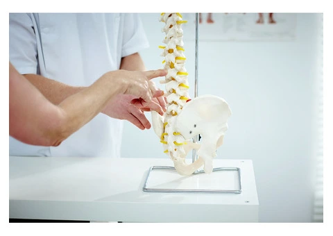 Expert Chiropractor Services in Edithvale