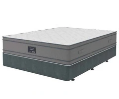 Queen Bed and Mattress