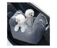 Shop the Best Pet Accessories & Supplies Online - Your One-Stop Pet Store