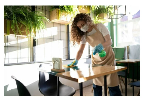 Unlock a Greener Clean: Eco Cleaning Brisbane Awaits You!