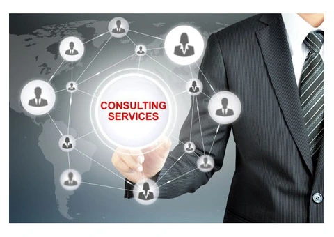 Strategic Excellence for Your Business: Partner with Our Consulting Team Today!