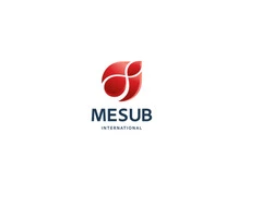 mesub travel