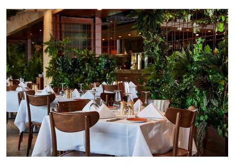 Experience Culinary Excellence at The Flame: Enjoy Modern Australian Dining with Iconic Views!