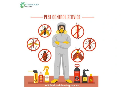 Excellent pest control in Brisbane
