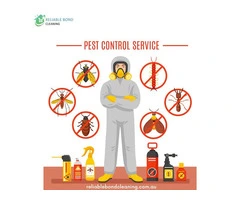 Excellent pest control in Brisbane