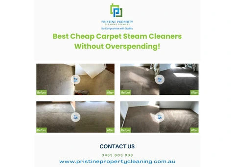 Best Cheap Carpet Steam Cleaners Without Overspending!