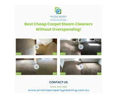 Best Cheap Carpet Steam Cleaners Without Overspending!