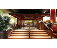 Savor Asian Delights in Belmore: Yumcha - One of Sydney's Finest Dining Experiences