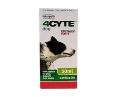 4CYTE Epiitalis Forte Gel for Dog