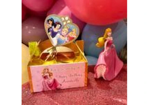 Kids Disney Princess Party Entertainer in Sydney – Fairy and the Frog