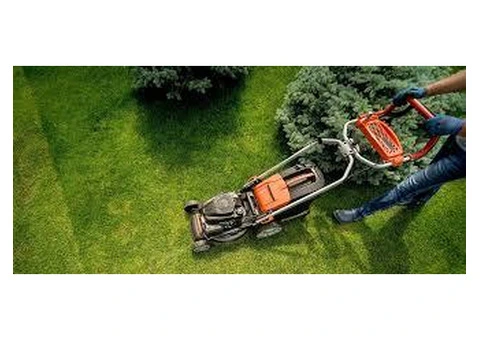 Lawn Mowing Blue Haven