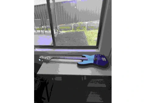 Discover Premium Bass Guitar with InstruShare