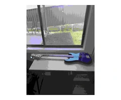 Discover Premium Bass Guitar with InstruShare