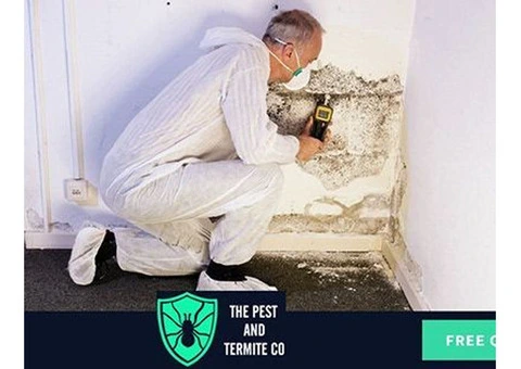 Pest Control Services Gold Coast