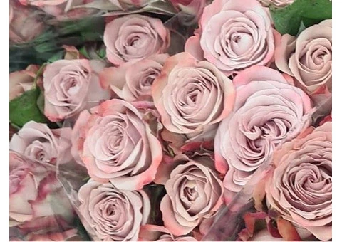 Flowers by Marisa Flower Shop in Australia - 13/15