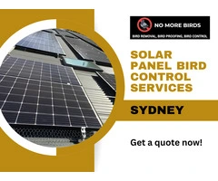 Solar Panel Bird Control Services