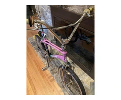 1987 Redline RL20ii Radberry original survivor