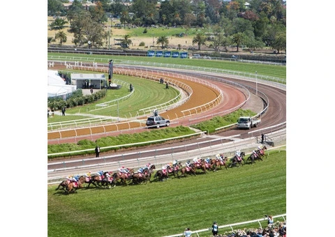 Experience unparalleled excellence with Casa Catering - Premier Caterers Sydney-wide!