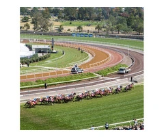 Experience unparalleled excellence with Casa Catering - Premier Caterers Sydney-wide!