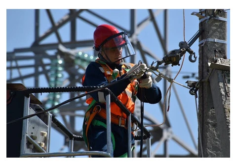 Expert Electrician in Freshwater: Trustworthy Solutions for Your Electrical Needs