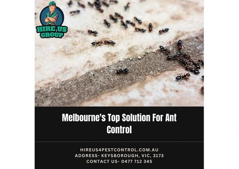 Melbourne's Top Solution For Ant Control