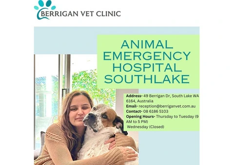 Animal Emergency Hospital Southlake