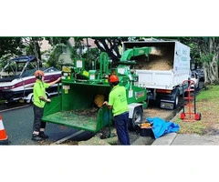 Arborist Sydney North Shore