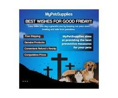Wishing you a Happy Good Friday Bring More Awareness towards your Pets