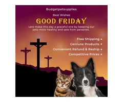 Wishing you a Happy Good Friday Bring More Awareness towards your Pets
