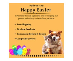 Best Wishes for Easter!! Have this Easter more special for your Pets