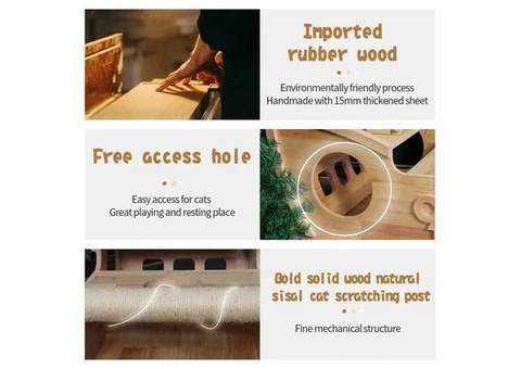 Cat Scratcher House - 6/23