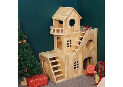 Cat Scratcher House - 8/23