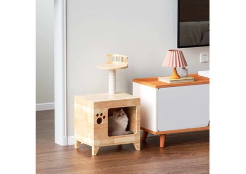 Cat Scratcher House - 9/23