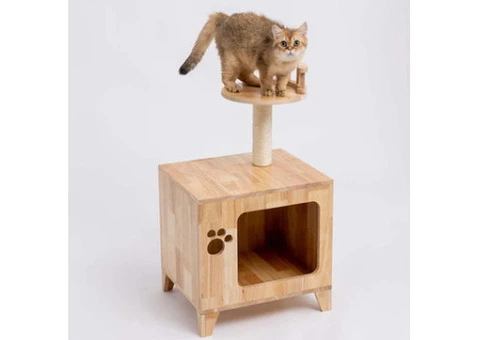 Cat Scratcher House - 10/23