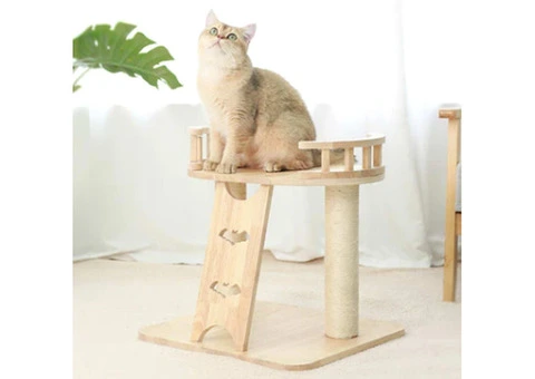 Cat Scratcher House - 14/23