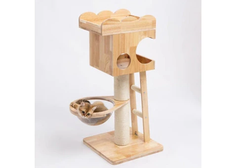 Cat Scratcher House - 15/23