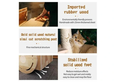 Cat Scratcher House - 22/23